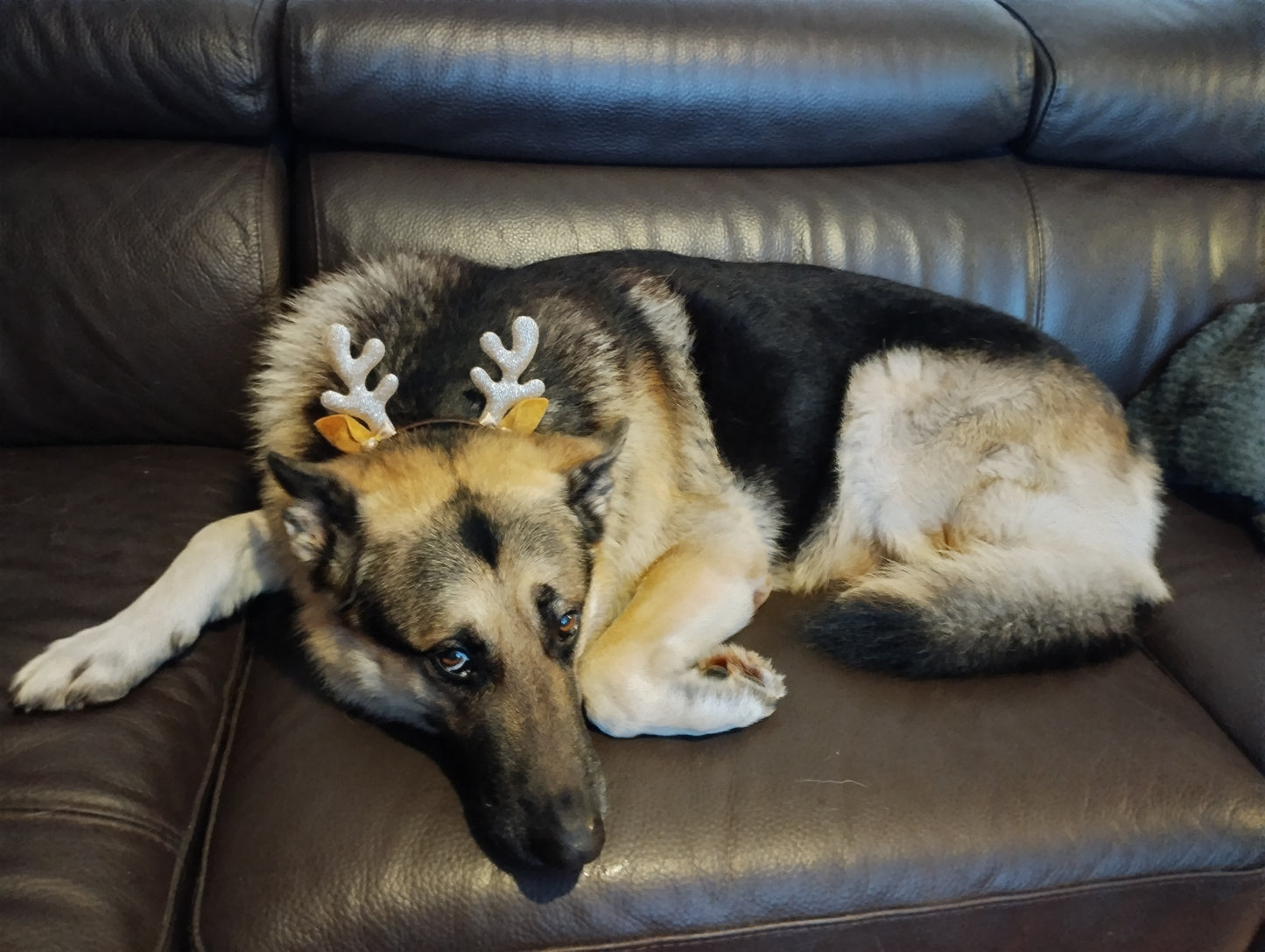 Glitter Antlers Headband